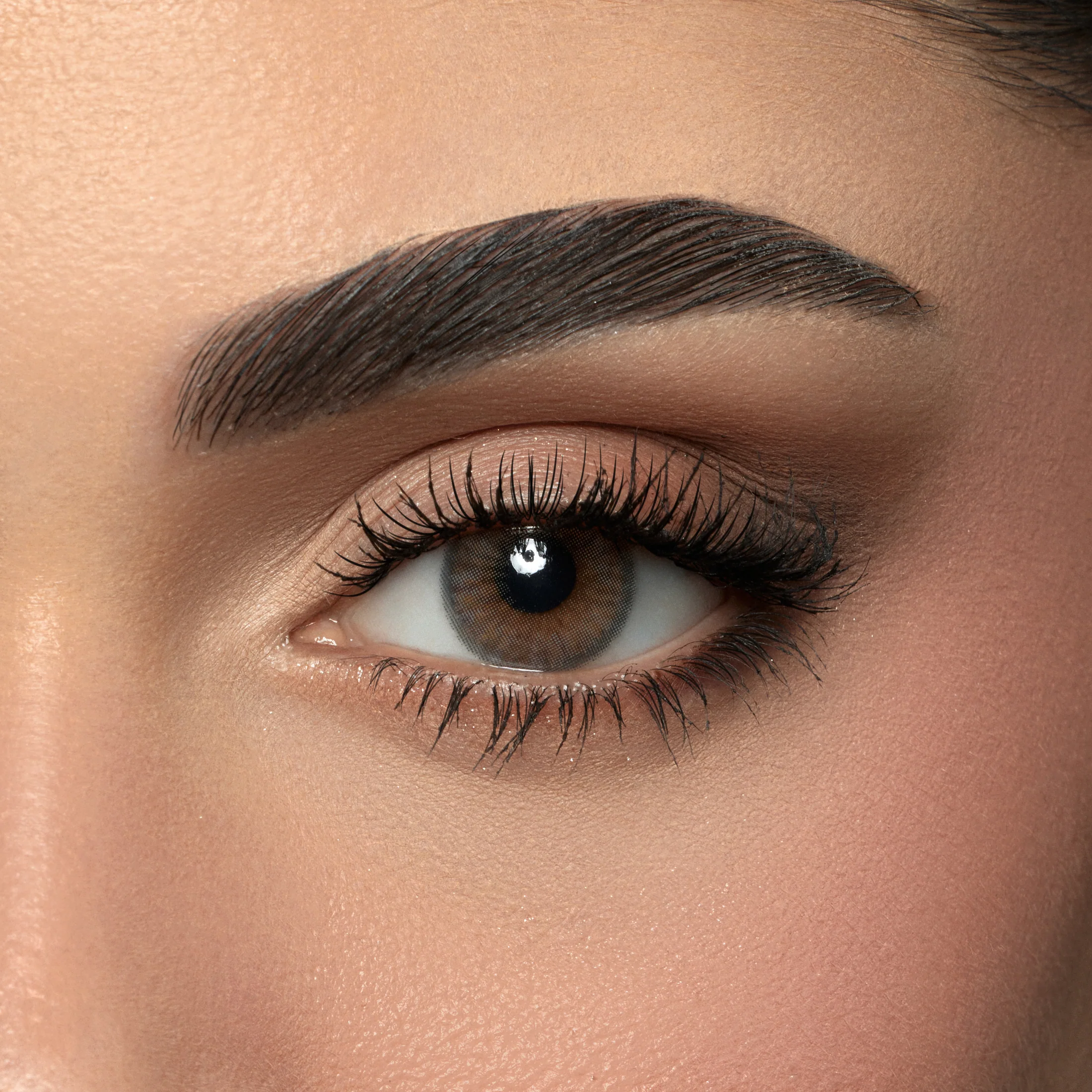 AMARA STEEL GRAY MONTHLY COLOR CONNTACT LENSES - 2PACK