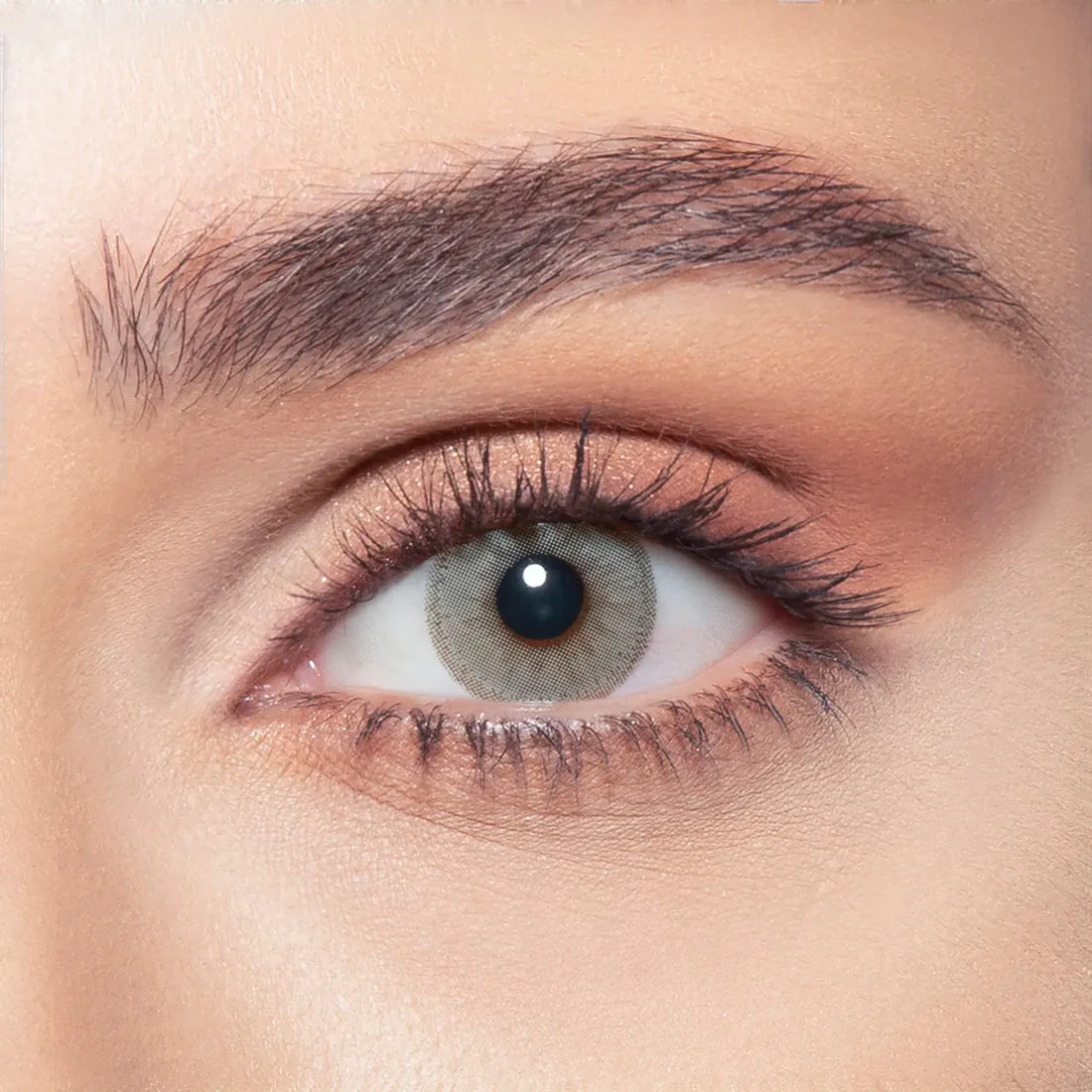 BELLA GLOW GRAY CARAMEL MONTHLY COLOR CONTACT LENSES - 2 PACK