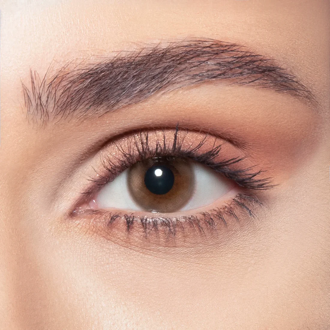 BELLA ONE DAY VENUS DAILY COLOR CONTACT LENSES - 2 PACK