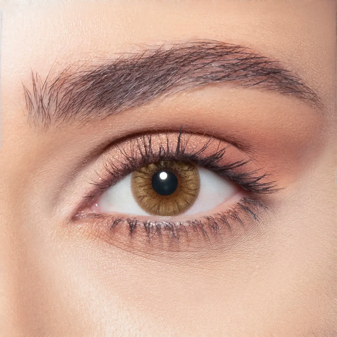 BELLA ONE DAY HAZEL HONEY DAILY COLOR CONTACT LENSES - 2 PACK