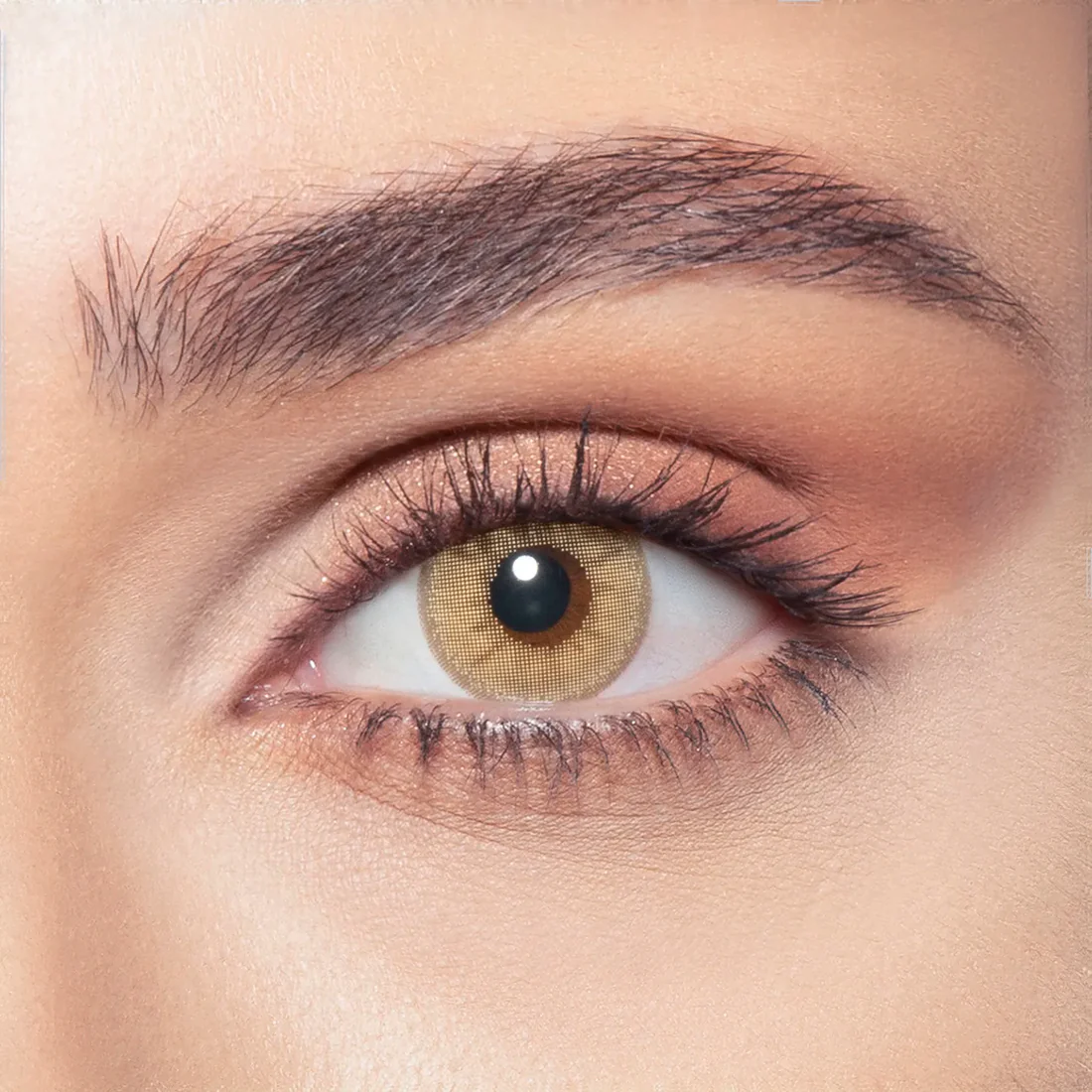 BELLA ONE DAY HAZEL BEIGE DAILY COLOR CONTACT LENSES - 2 PACK