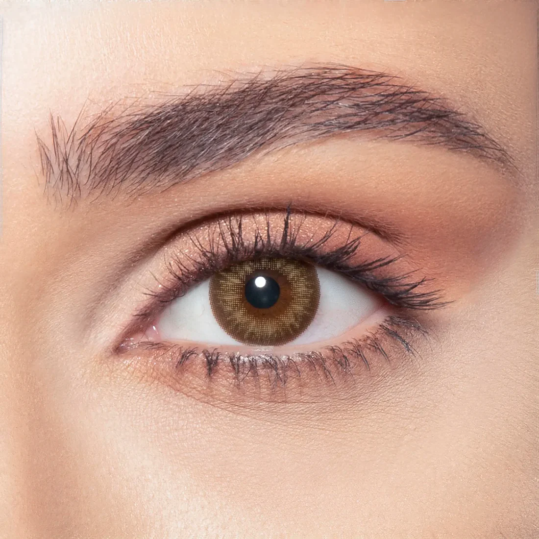 BELLA ONE DAY ALMOND BROWN DAILY COLOR CONTACT LENSES - 2 PACK