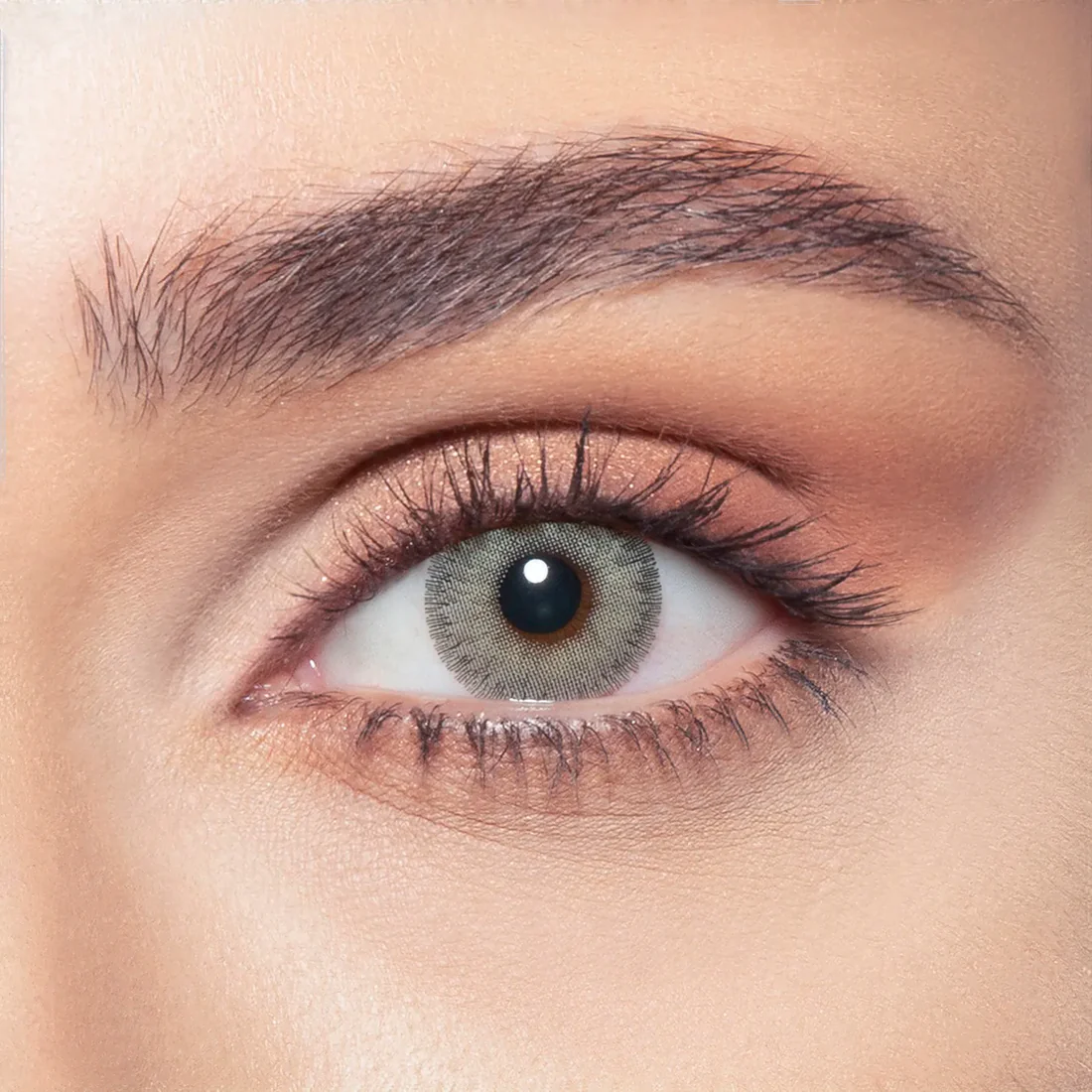 BELLA ELITE GRAY OLIVE MONTHLY COLOR CONTACT LENSES - 2 PACK