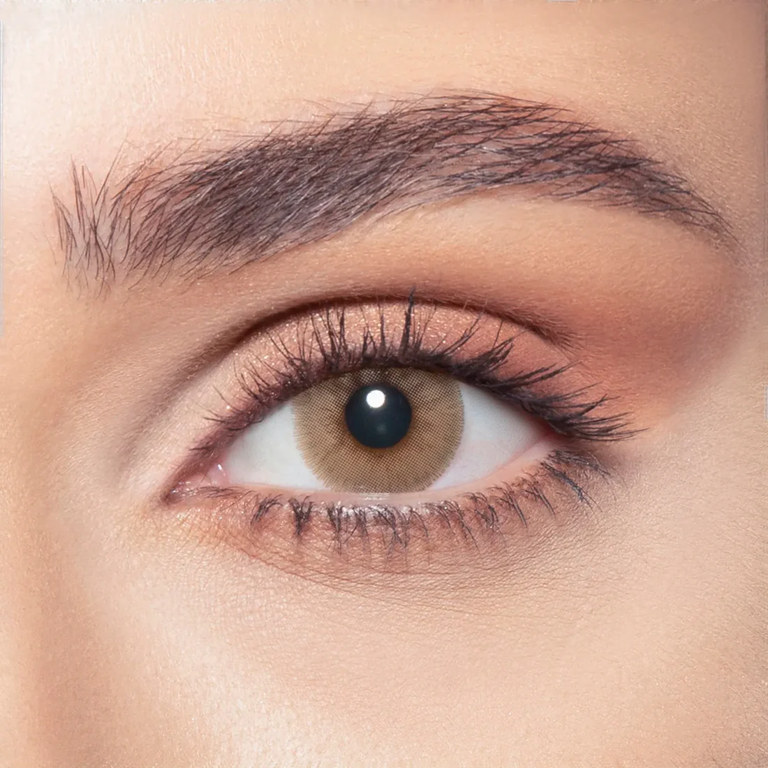 BELLA ELITE SANDY BROWN MONTHLY COLOR CONTACT LENSES - 2 PACK