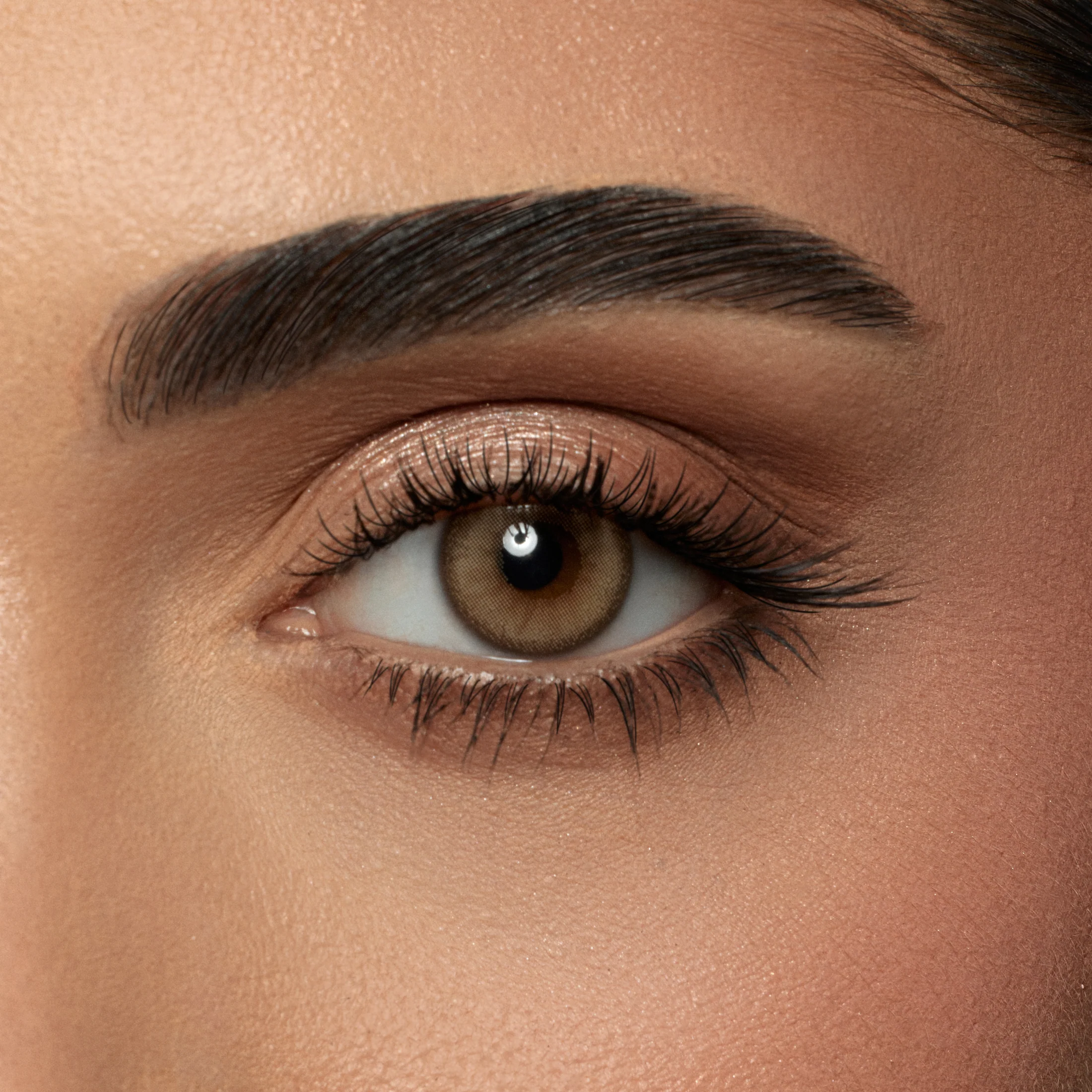 AMARA HONEY DAILY COLOR CONTACT LENSES – 10 PACK