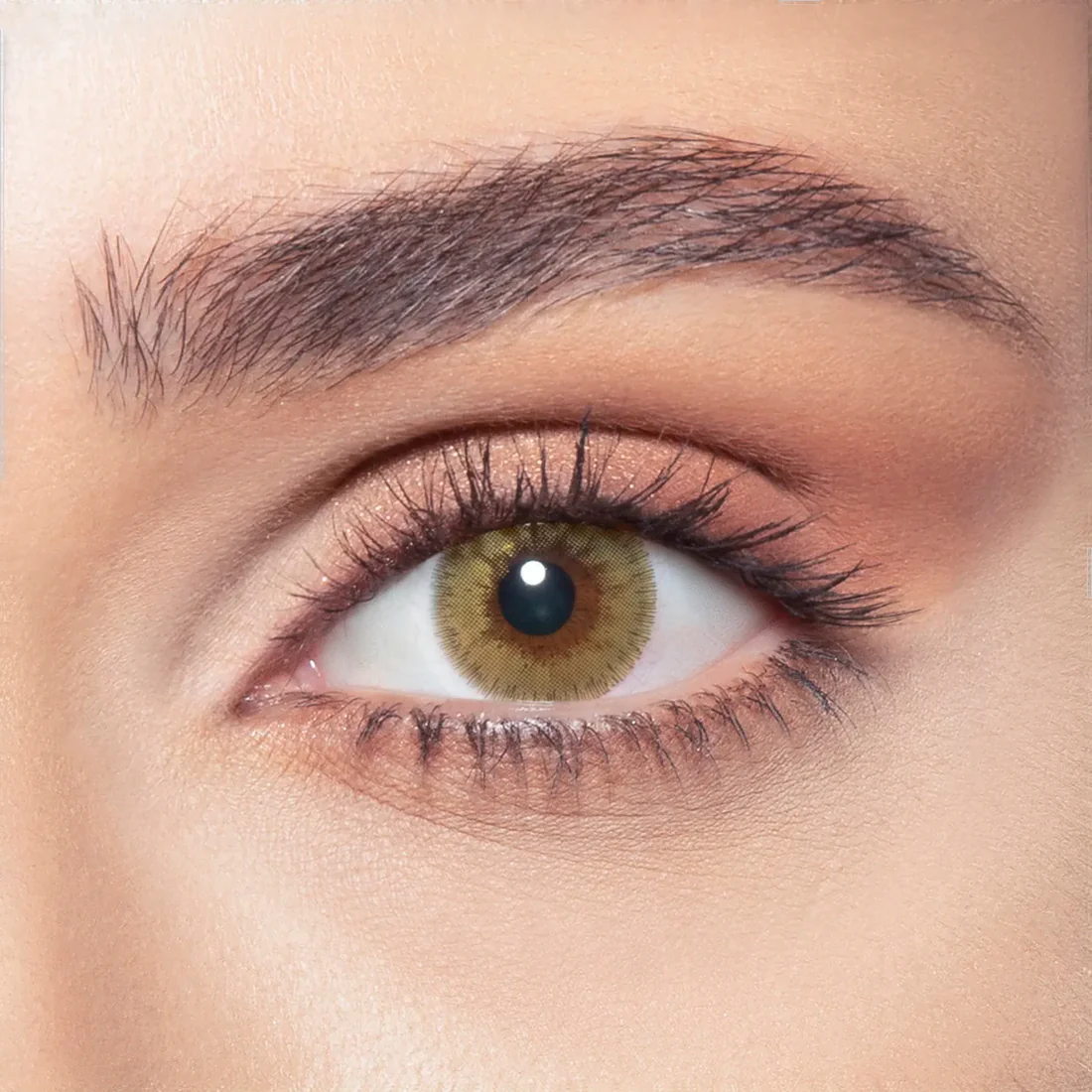 BELLA ELITE SILKY GOLD MONTHLY COLOR CONTACT LENSES - 2 PACK