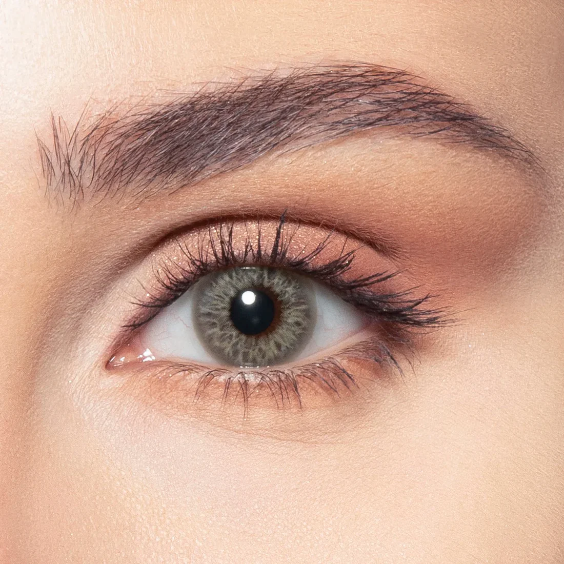 BELLA ONE DAY EARTH DAILY COLOR CONTACT LENSES - 2 PACK