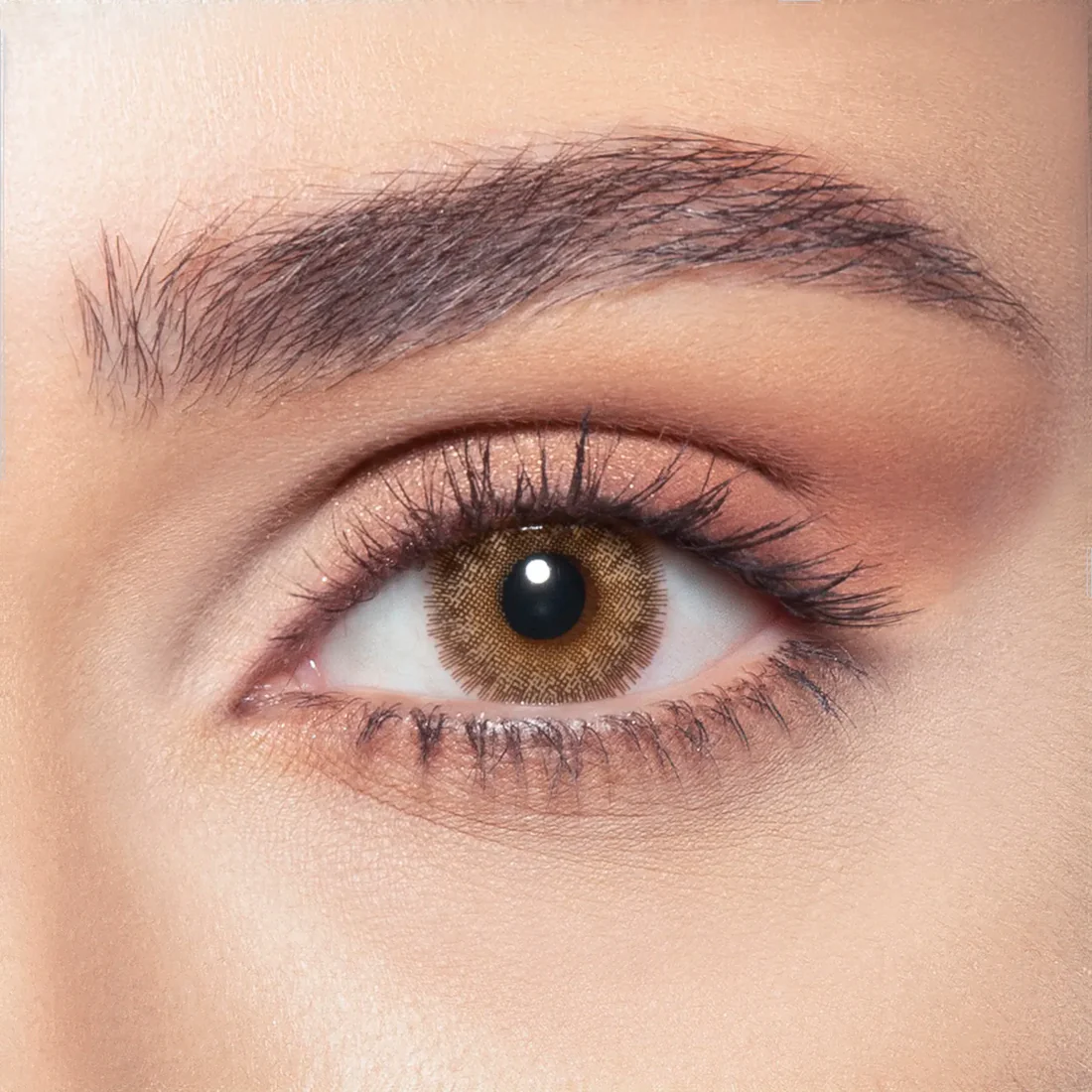 BELLA NEW DIAMOND OAK MONTHLY COLOR CONTACT LENSES - 2 PACK