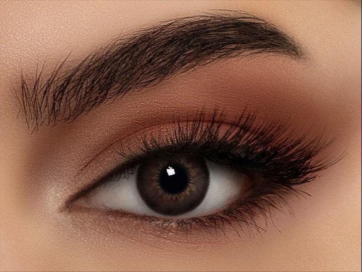 Bella Highlight - Circle Brown