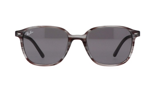 SUN GLASSES | RAYBAN | 2193-1314/B1 51 I