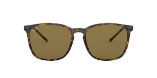 SUN GLASSES | RAYBAN | 4387-710/73 LX
