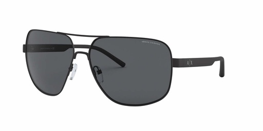 SUN GLASSES | ARMANI EXCHANGE | 2030S-6000T364