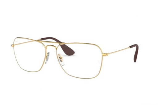 FRAMES | RAYBAN | 3610V 2500