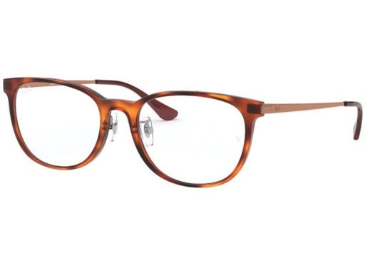 FRAMES | RAYBAN | 7179D 5996 54