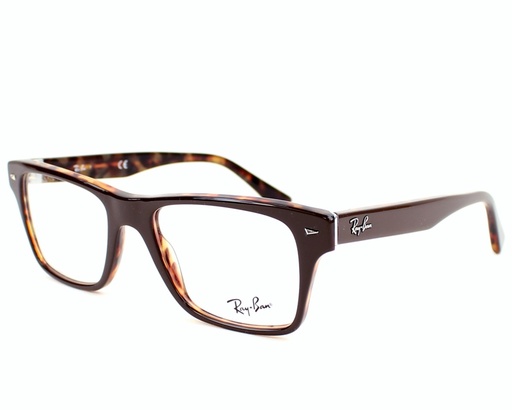 FRAMES | RAYBAN | RB 5308 5220