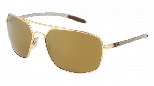 SUN GLASSES | RAYBAN | 8322CH 001/A3 62 J